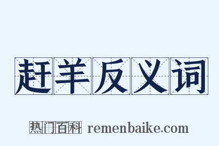 赶羊反义词是什么意思的图片